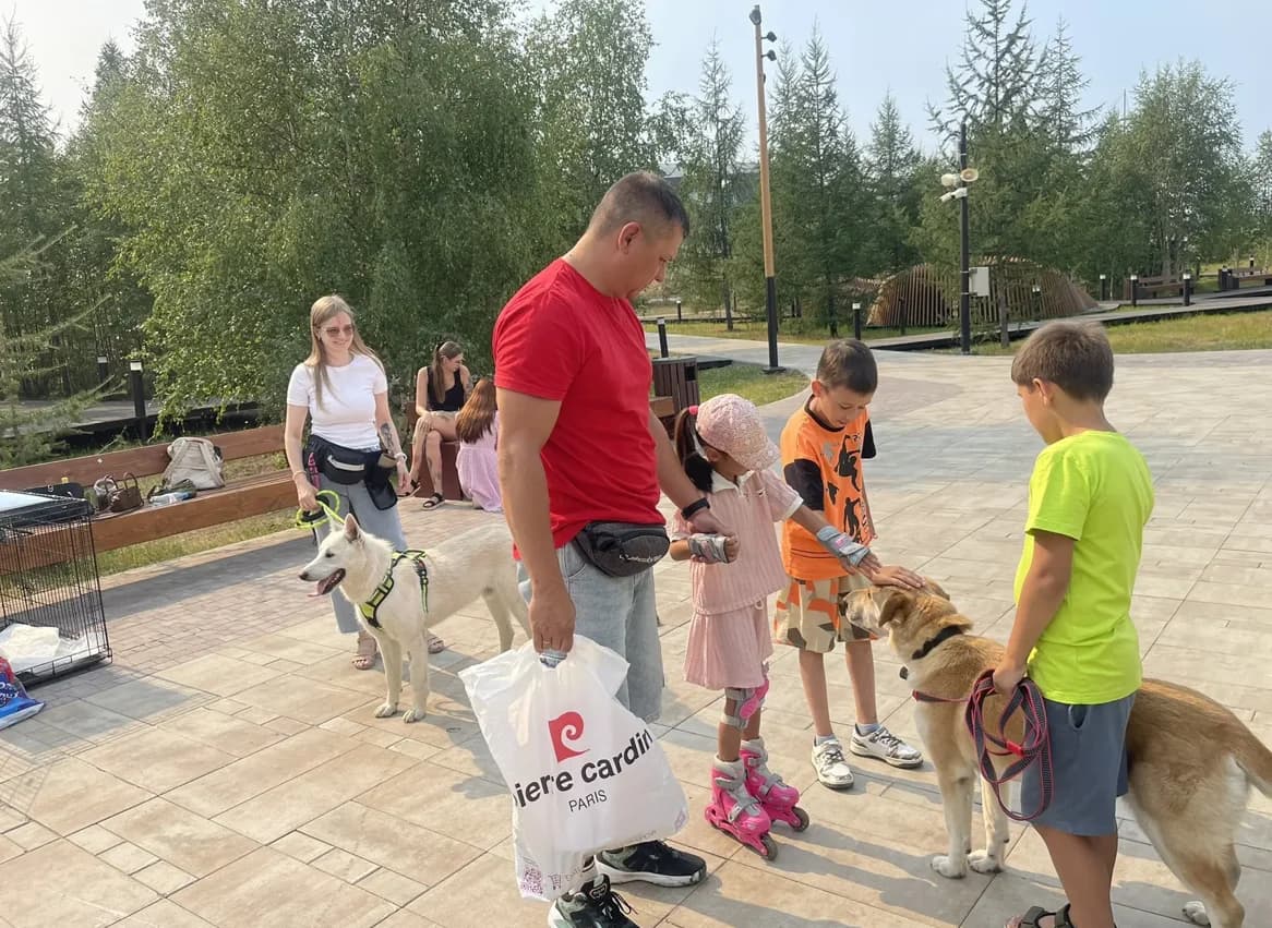 Снимок экрана 2026-07-31 103944.png