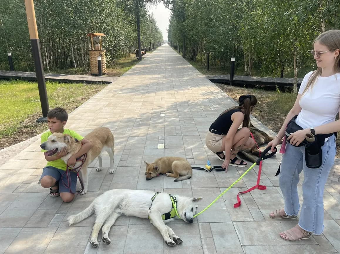 Снимок экрана 2026-07-31 103925.png