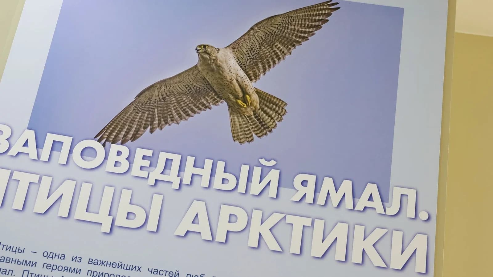Наука без границ: в Новом Уренгое работает ученый из Арабских Эмиратов