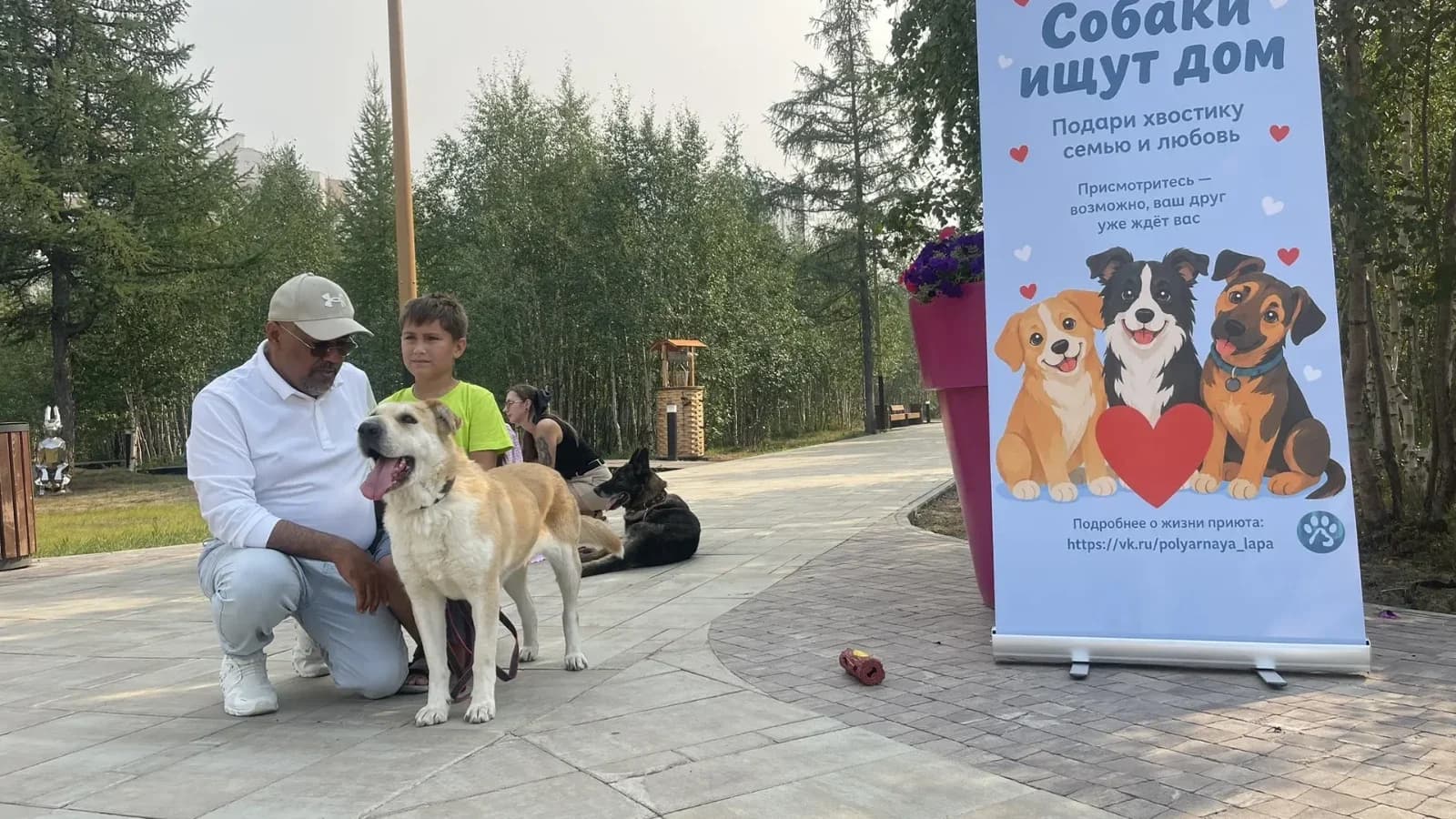 Новоуренгойский приют вывел собак на улицы города. Фото
